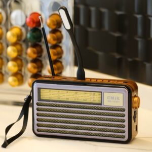 PARLANTE BT MK-193  Y SOLAR DE DISEÑO RETRO C/RADIO AM/FM-TFCARD-USB-ENTRADA AURICULAR