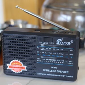 PARLANTE BLUETOOTH FP-813 RECARGABLE Y A PILA CON RADIO AM/FM